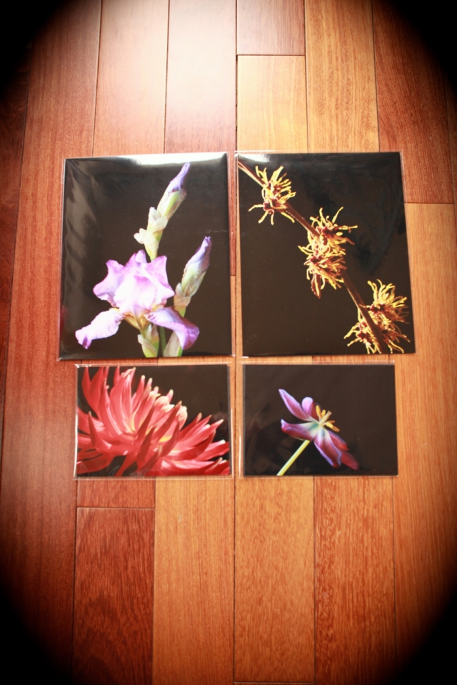 2- 8x10s and 2-5x7 Prints